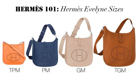 hermes evelyne dimensions|hermes evelyne colors.